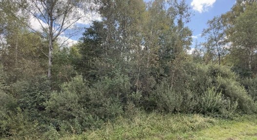 Продается участок, 26,72 сот.