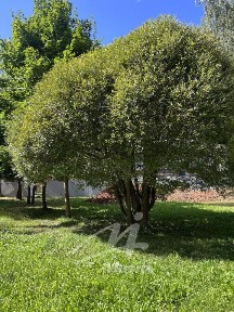 Продается 2-этажный коттедж, 239 м²