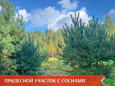 Продается участок, 12 сот.