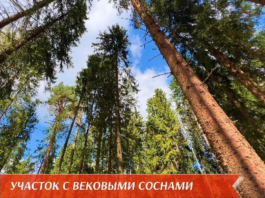 Продается участок, 10 сот.