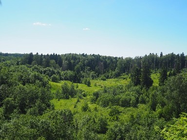 Продается участок, 4 га