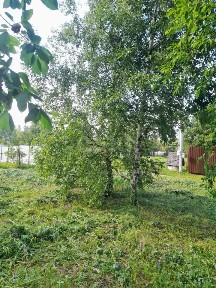 Продается участок, 12 сот.