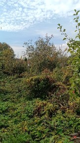 Продается 2-этажный дом, 80 м²