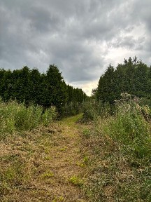 Продается 2-этажный дом, 90 м²
