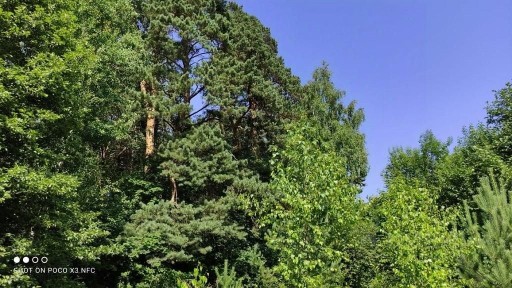 Продается участок, 25 сот.