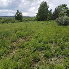 Продается участок, 300 сот.