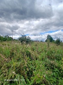 Продается участок, 18,31 сот.