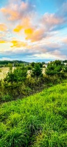 Продается участок, 6,26 сот.