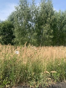 Продается участок, 7 сот.