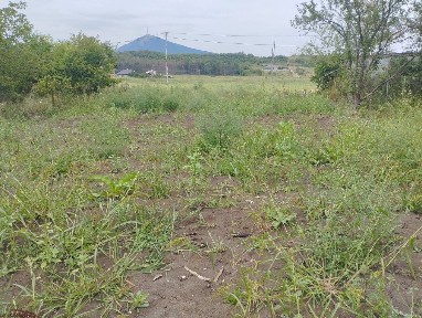 Продается участок, 4,62 сот.