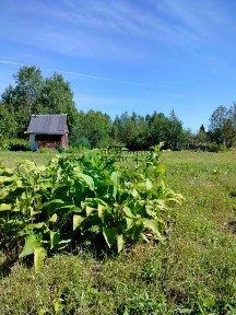 Продается участок, 13 сот.
