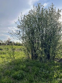 Продается участок, 6 сот.
