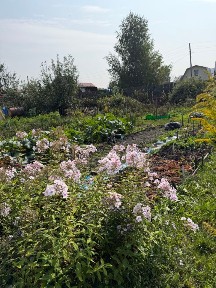 Продается 1-этажный дом, 50 м²