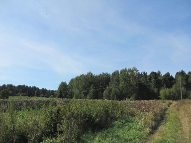 Продается участок, 1 221,31 сот.