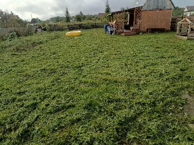 Продается участок, 6 сот.