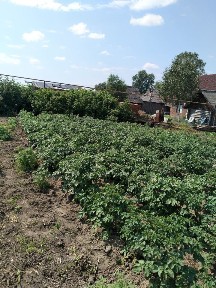 Продается 1-этажный дом, 137 м²