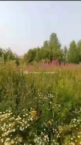 Продается участок, 6,06 сот.