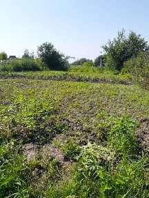 Продается участок, 5,1 сот.