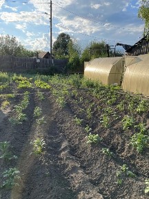 Продается участок, 11 сот.