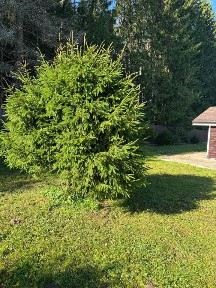 Продается 2-этажный дом, 130 м²
