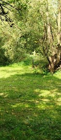 Продается 1-этажный дом, 83 м²