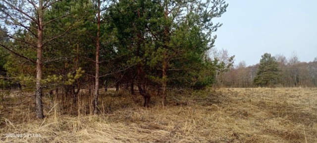Продается участок, 2 га