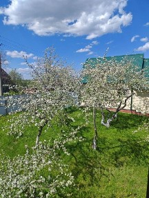 Сдается 2-этажный дом, 100 м²