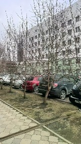 Сдается торговая площадь, 86 м²