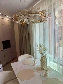 Сдается студия, 50 м²