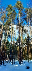 Сдаются 1-комн. апартаменты, 50 м²