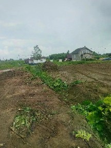 Коми респ., Сыктывдинский муниципальный район, Выльгорт село