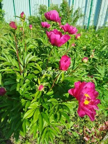 Продается 2-этажный дом, 30 м²