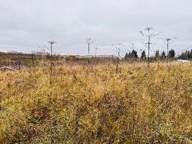 Продается участок, 10 сот.