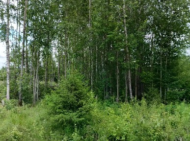 Продается участок, 10 сот.