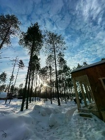 Продается 1-этажный дом, 50 м²