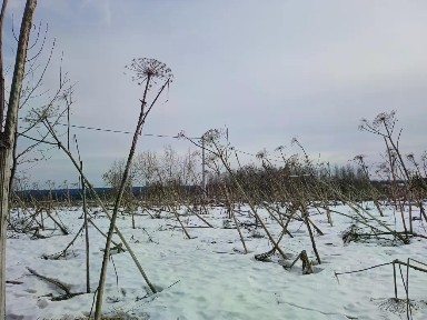 Продается участок, 22 сот.