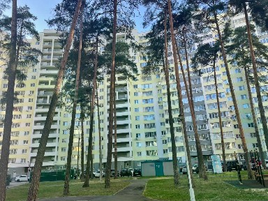Московская область, Раменское, р-н Залинейный, Высоковольтная ул., 23