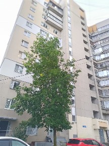 Сдается 1-комн. квартира, 41 м²