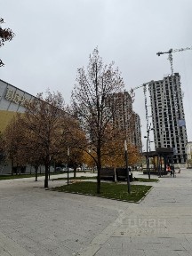 Продается помещение свободного назначения, 269,33 м²