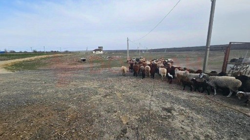 Продается готовый бизнес, 1 380 м²