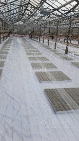 Ростовская область, Октябрьский район, Краснокутское с/пос, Интернациональный поселок