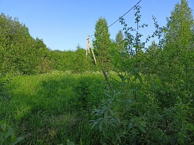 Продается участок, 24 сот.