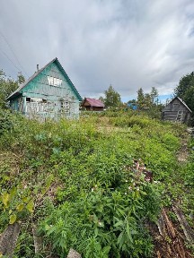 Архангельская область, Приморский муниципальный округ, Исток СНТ, 21