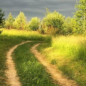 Продается участок, 13 сот.