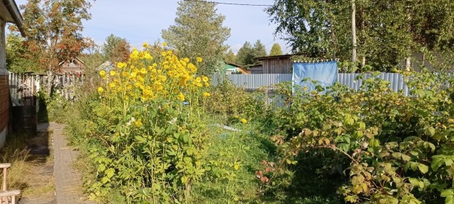 Продается 2-этажный дом, 49 м²