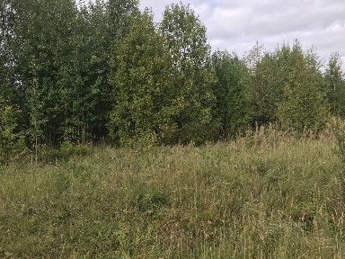 Продается участок, 12 сот.
