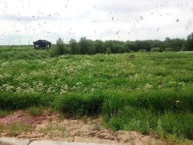 Продается участок, 10 сот.
