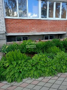 Продается помещение свободного назначения, 84,2 м²