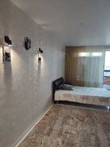 Сдается студия, 24,5 м²