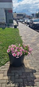 Сдается 3-комн. квартира, 80 м²